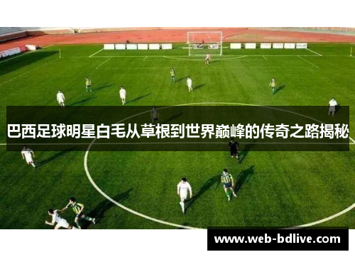 巴西足球明星白毛从草根到世界巅峰的传奇之路揭秘