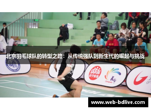 北京羽毛球队的转型之路：从传统强队到新生代的崛起与挑战